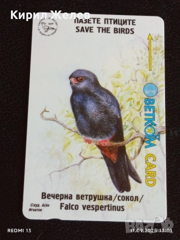 Три фонокарти БЕТКОМ тема БУХАЛ,СОКОЛ,СИНИГЕР 14907, снимка 9 - Колекции - 51677590