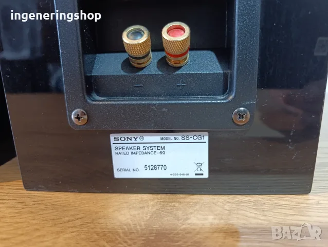 Тонколони Sony SS-CG1, снимка 6 - Тонколони - 55894390