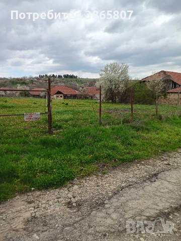 Парцел в село Сенник - 2 парцела