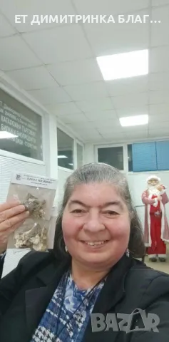 Змийски лапад , снимка 7 - Други - 50146724