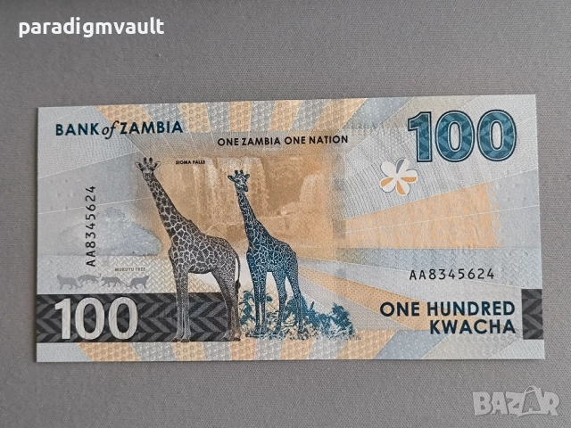 Банкнота - Замбия - 100 квача UNC | 2024г., снимка 2 - Нумизматика и бонистика - 52657024