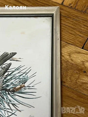 Картинка с птиченце в рамка , снимка 5 - Декорация за дома - 50080457