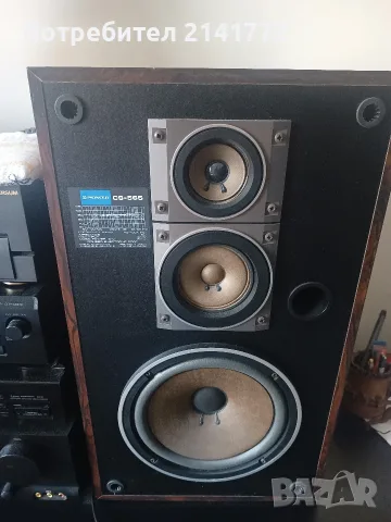 Pioneer CS-565 тонколони, снимка 5 - Тонколони - 54194536