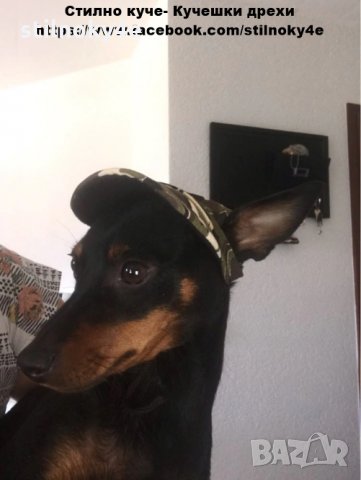 Кучешка шапка с козирка Шапки за кучета Аксесоари аксесоар за кучета Шапка за куче, снимка 9 - За кучета - 27063498