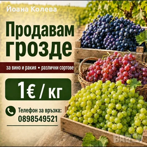 Продавам грозде