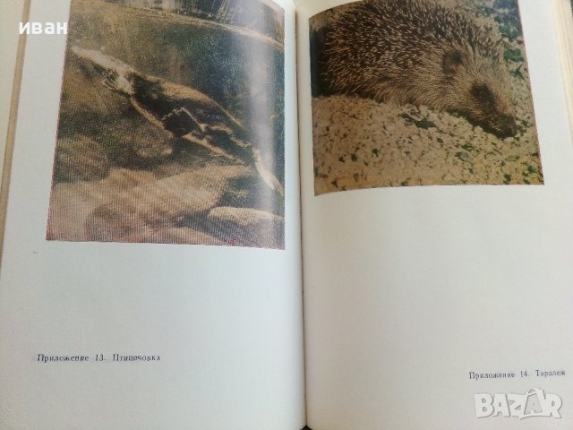 Христоматия по Биология/Зоология том 1/ - Т.Митева,М.Дечева,Й.Лихарска,Е.Шопова,Р.Савова - 1984г., снимка 5 - Учебници, учебни тетрадки - 36855204