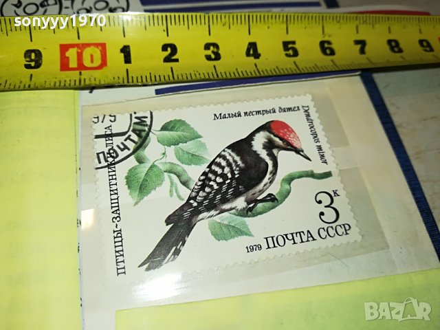 МАРКА 15 1979 СССР 1603231636, снимка 5 - Филателия - 40024353