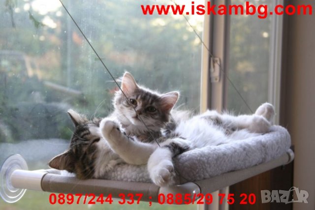 КОТЕШКО ЛЕГЛО ЗА ПРОЗОРЕЦ SUNNY SEAT - КОД 1484, снимка 7 - За котки - 29607314