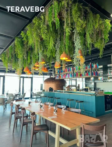 Висящи изкуствени растения , снимка 2 - Изкуствени цветя - 48670825