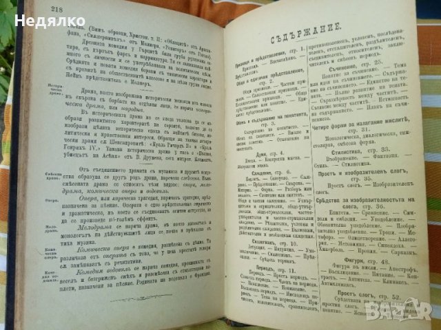 Ръководство по Словесностъта,1889г,стара книга , снимка 11 - Други - 37152735