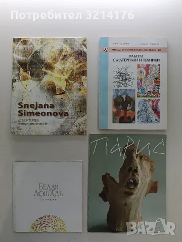 НОВА! Sculptures bronze and marble 2011 – Snejana Simeonova , снимка 1 - Специализирана литература - 55961520