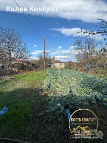 Къща село Бяла река, снимка 3 - Къщи - 52495172