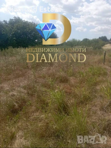 Парцел в село Черногорово, общ. Димитровград, снимка 5 - Парцели - 50874940