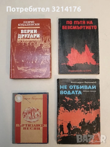 Партизански песни - Веселин Георгиев (Твърди корици)