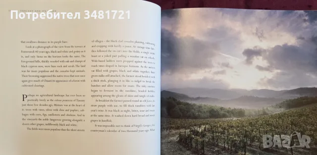 Tuscany and Its Wines, снимка 4 - Кулинария - 55817319