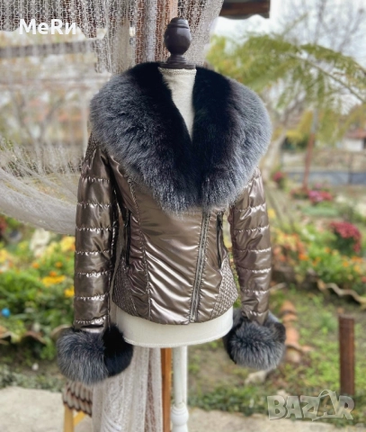 Сребристо яке с лисица 