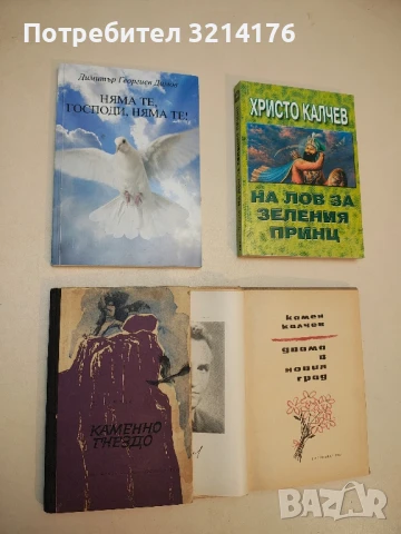 Каменно гнездо - Димитър Мантов