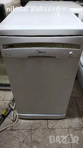 миялна мидея, снимка 1