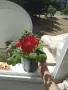 голямата е на 10€ а малките на 5€, снимка 2