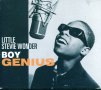 Little Stevie Wonder, снимка 1 - CD дискове - 37710111
