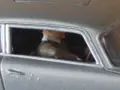 Колекционерска количка 007, снимка 8