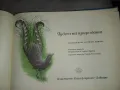 Чудеса на природата Педагогическа картинна книжка , снимка 4