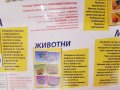 игра Моите първи познания 4 в 1, снимка 6