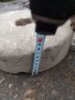 Старинни точиларски камъни за заточване на мотики брадви ножове, снимка 2