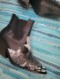Модерни боти със змийски принт, снимка 4