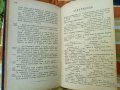 Ръководство по Словесностъта,1889г,стара книга , снимка 11