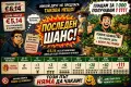 Първокласен инвитро разсад боровинки + бонус растения до средата на септември, снимка 2