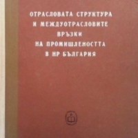 Отраслова структура и междуотрасловите връзки на промишлеността на НР България Петър Шапкарев, снимка 1 - Специализирана литература - 35184981