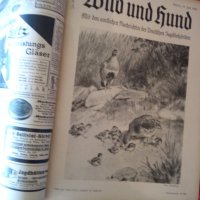   Wid and hund немско ловджийско списание 1930 - 1937 г, снимка 4 - Антикварни и старинни предмети - 37319252