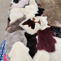 Естествени овчи кожи 100 % качество , снимка 5 - Декорация за дома - 38813278