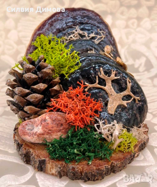 Подарък за планинари :-), снимка 1