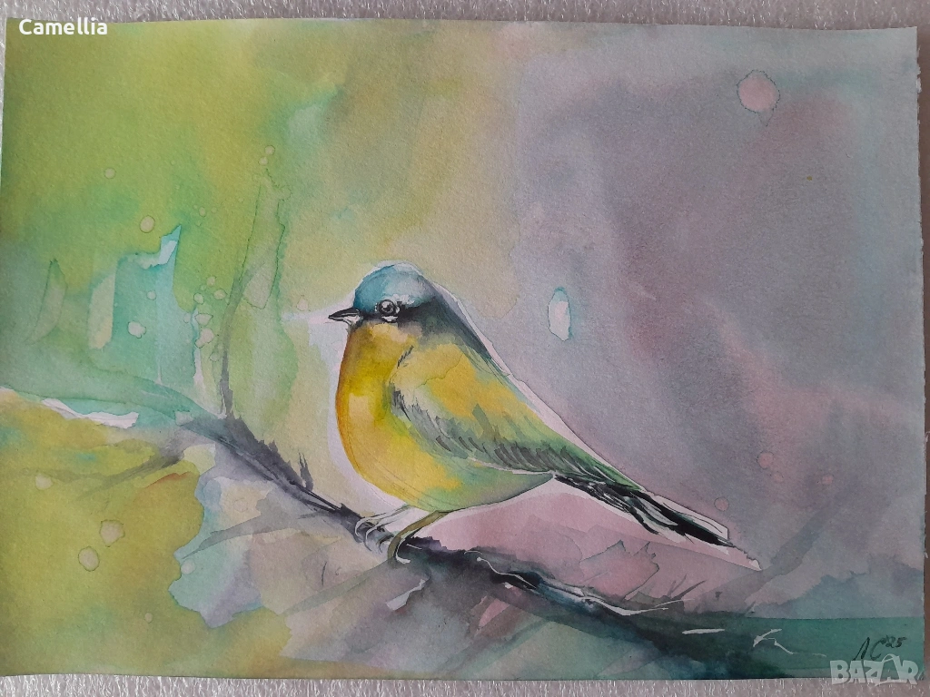 Птички - акварели, снимка 1