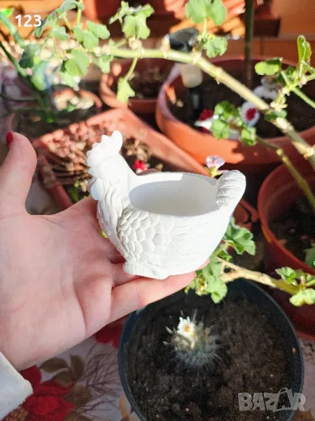 кокошка по заявка, снимка 1