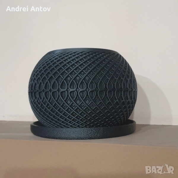 Саксии, снимка 1