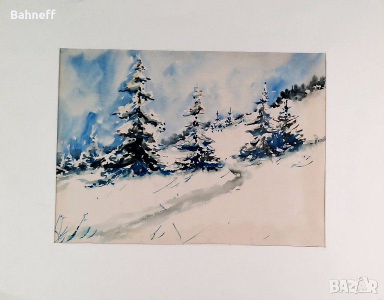 Витоша, снимка 1