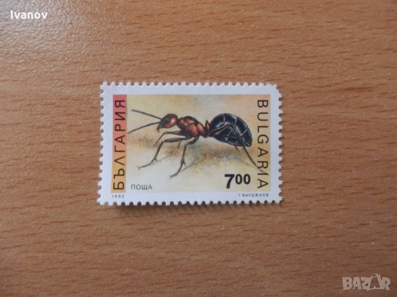 мравка 1992г., снимка 1