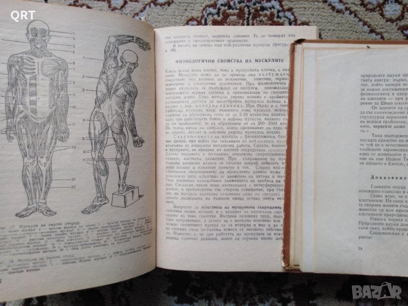 Книги Познания за човека и Непознатият свят- човекът по 3 лв. всяка, снимка 1