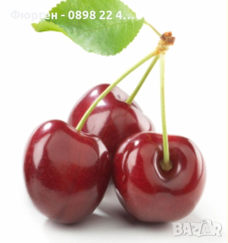  Плодни дръвчета, снимка 4 - Разсади - 52508208