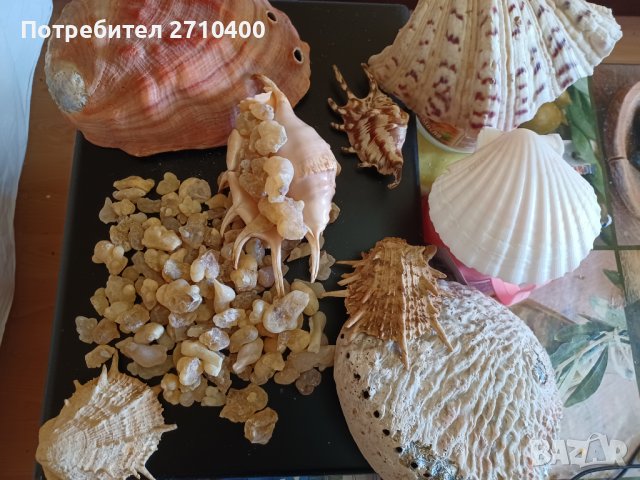 Тамян.Фаворитът.От Оман.Босвелия сакра.Арабски тамян Ходжари От Дофар, снимка 5 - Други - 37083493