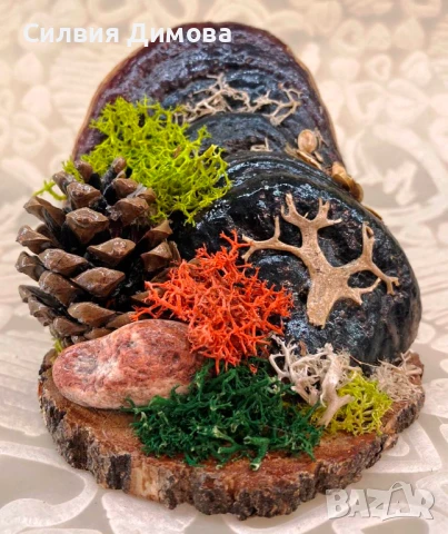 Подарък за планинари :-)