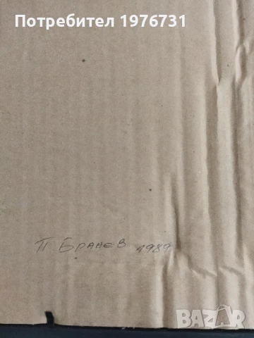 Картина на художник живописец Петър Бранев ( 1932- 2007г.), снимка 7 - Картини - 50840339