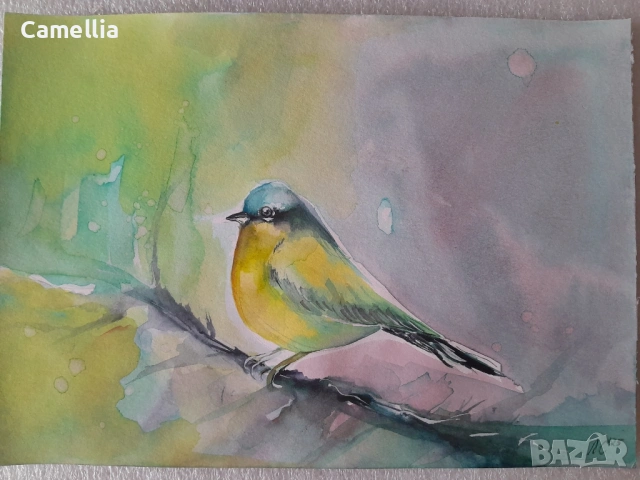 Птички - акварели