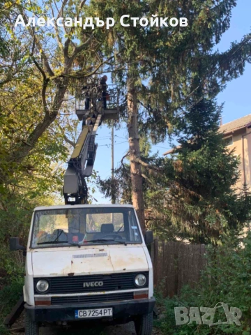 Рязане и кастрене на дървета с автовишка, снимка 13 - Други услуги - 54006380