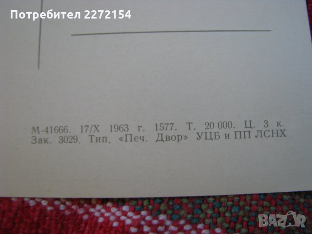 Руска картичка снимка лов и животни-5бр, снимка 4 - Антикварни и старинни предмети - 30633735