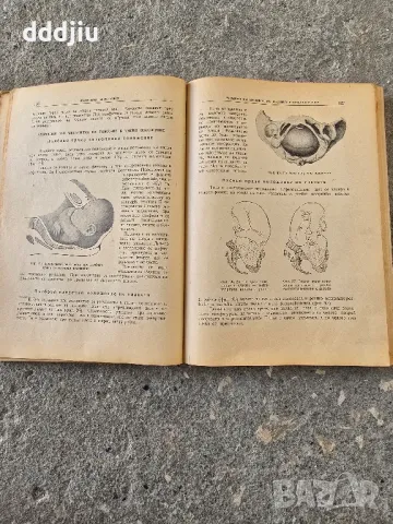 Стар учебник по акушерство 1957г, снимка 2 - Антикварни и старинни предмети - 49969983