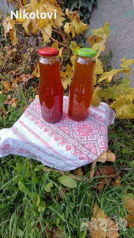 Домашен сироп от диви шипки с разреждане 